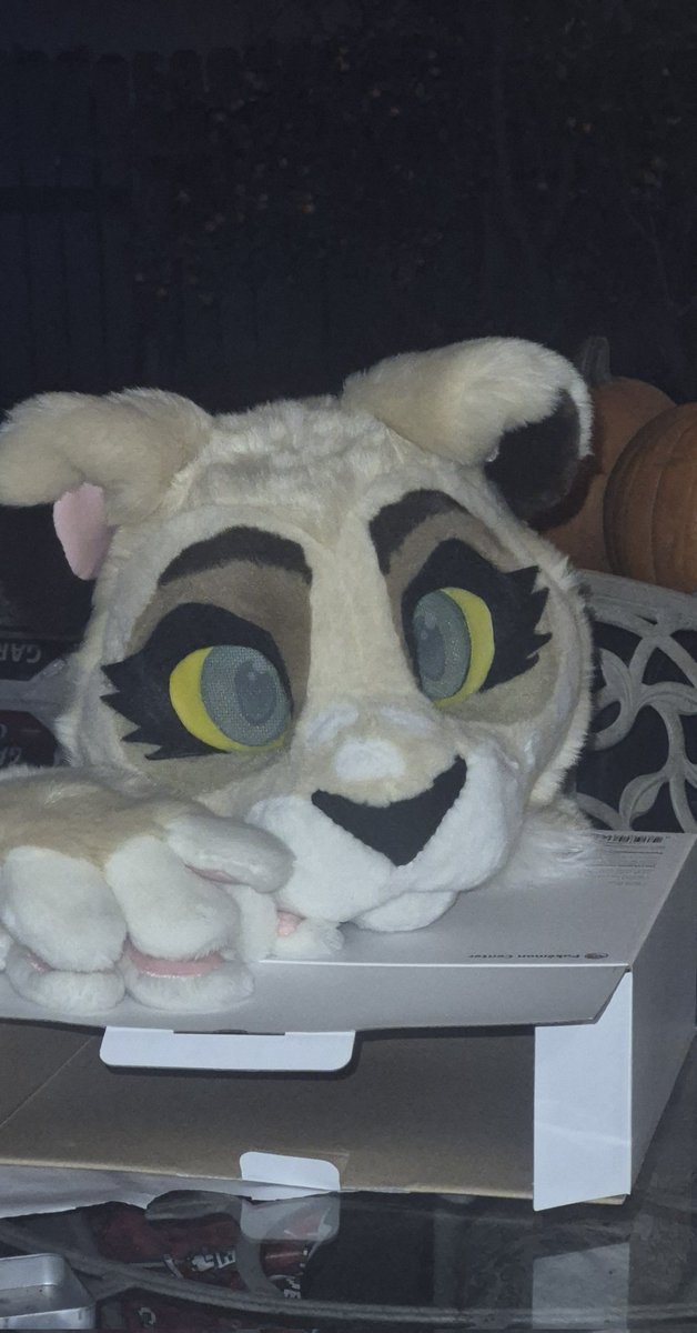 What the fuck what is that