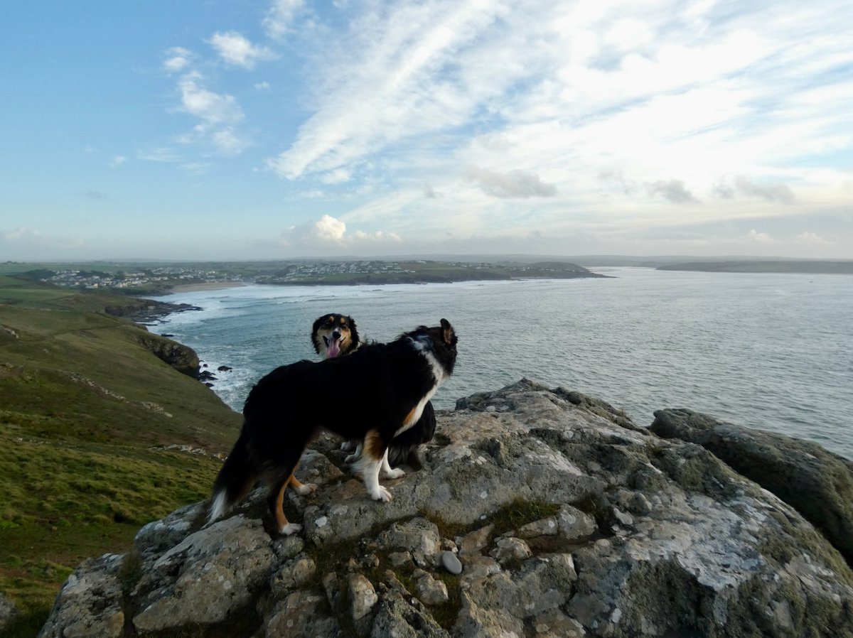 On top of the world, Pentire Point #Pentire #bordercollies