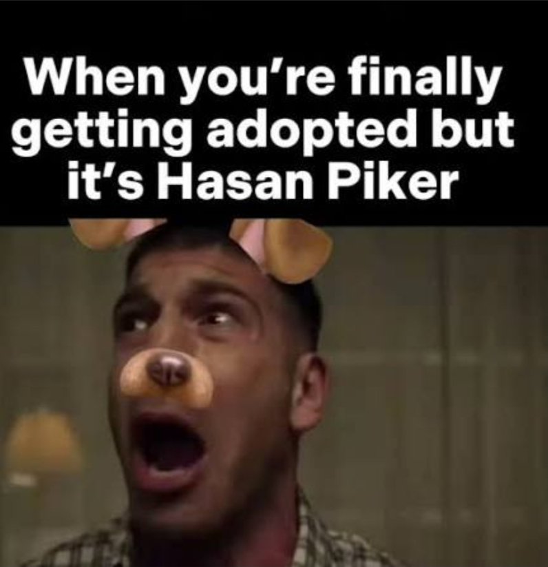 Crypto Moondaca tweet media