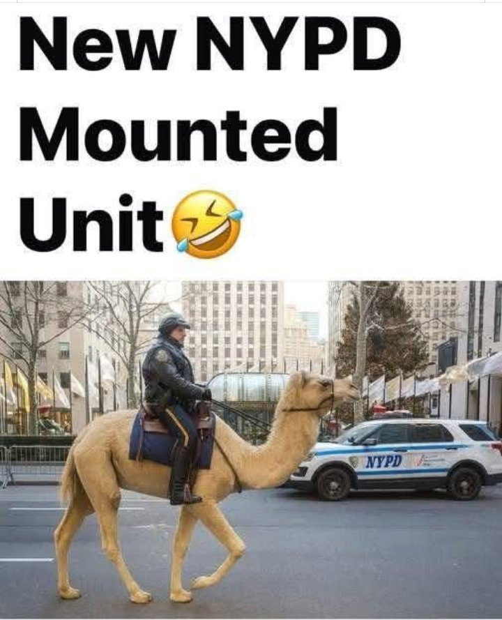 <a href="/RadioGenoa/">RadioGenoa</a>