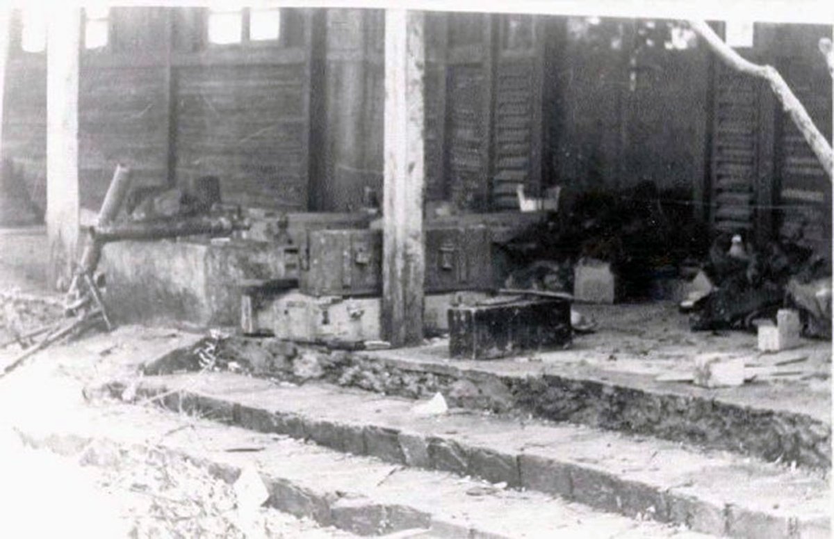 Team Susi Hunter tweet media