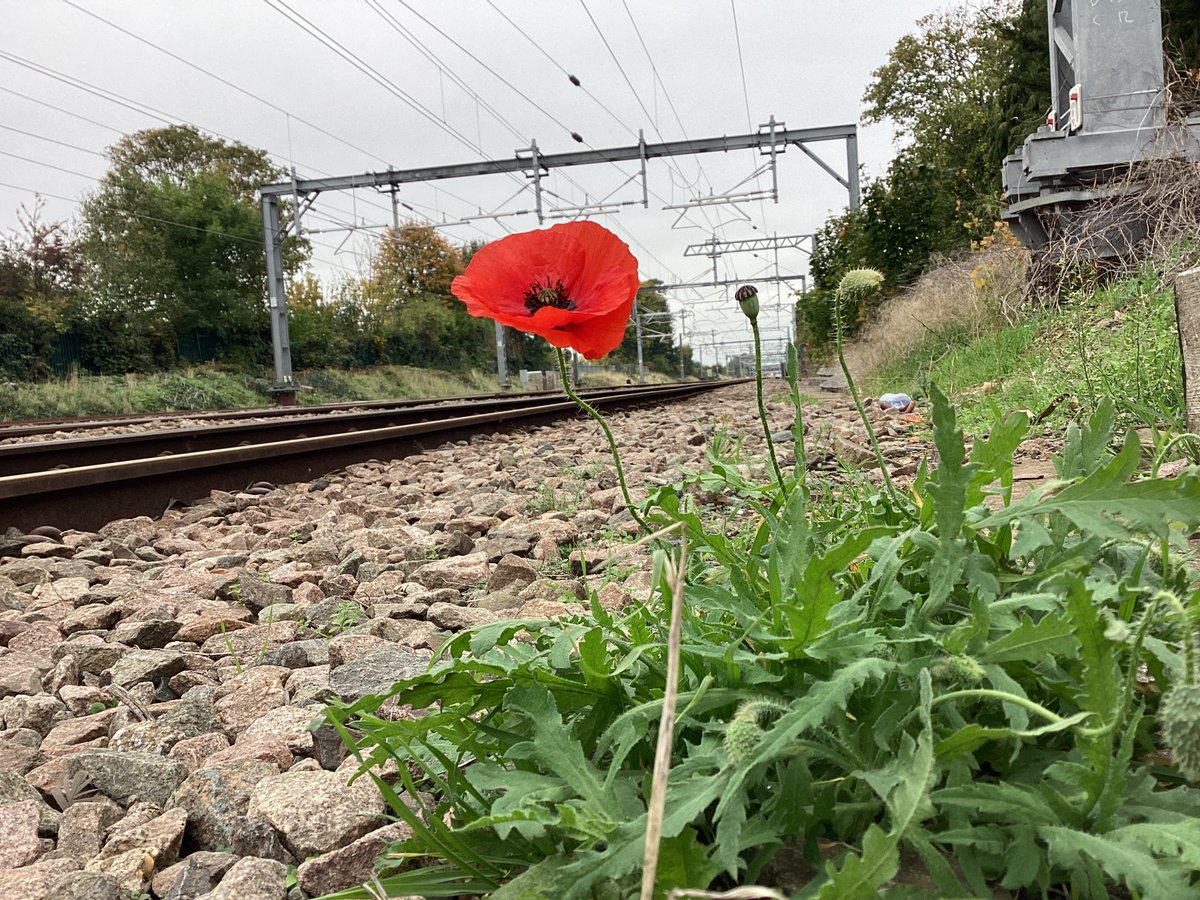 13milepost's tweet image. #TrackTeam 🚧🦺   🕚