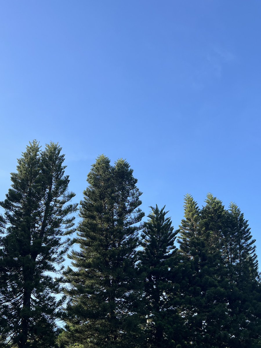 回台北，下次見👋🏻