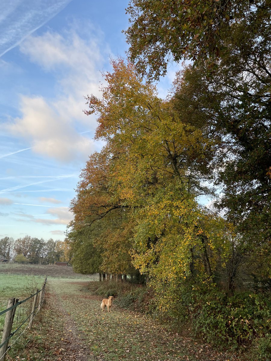 ytjepoppinga's tweet image. Goedemorgen allemaal! Het wordt een prachtige dag, rondje circuit en de paarden recht op hun hooi af. Werkjes en Astrid krijgt les op Ness van Elina.
Wij langzaam de dag in na gezellige avond met onze #FNS. Straks een traditionele Sunday Roast met Nikki en Steve.
Daarna eet ik…