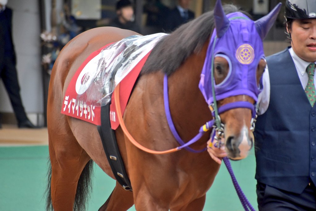 けーさん☆聖奈！ on X