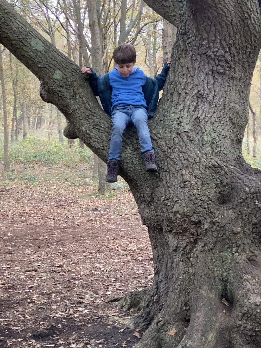 TiCLme's tweet image. And that I love the tree from whence thou sprang’st

Henry VI 3: 5.7.31

#ShakespeareSunday 

@HollowCrownFans @shakespeareina1 @ProjectShakesp @BotanicalShax @shakescenery @btnshakespeare @Subr475 @keeper_of_books @Ozymandiasdust @JuliaBradbury