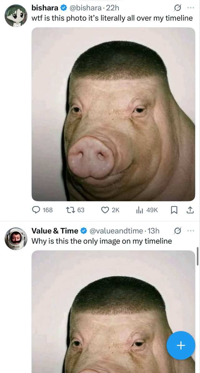 Have you considered that maybe the reason it’s all over the timeline is because we keep posting it?????