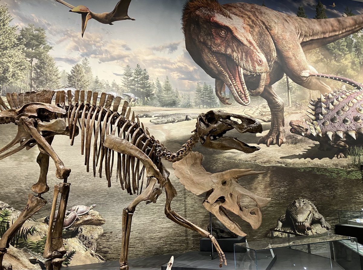 【休館日のお知らせ】

明日１１月１０日は休館日です！
お間違えの無いようご注意ください😌
またのご来館お待ちしております♪