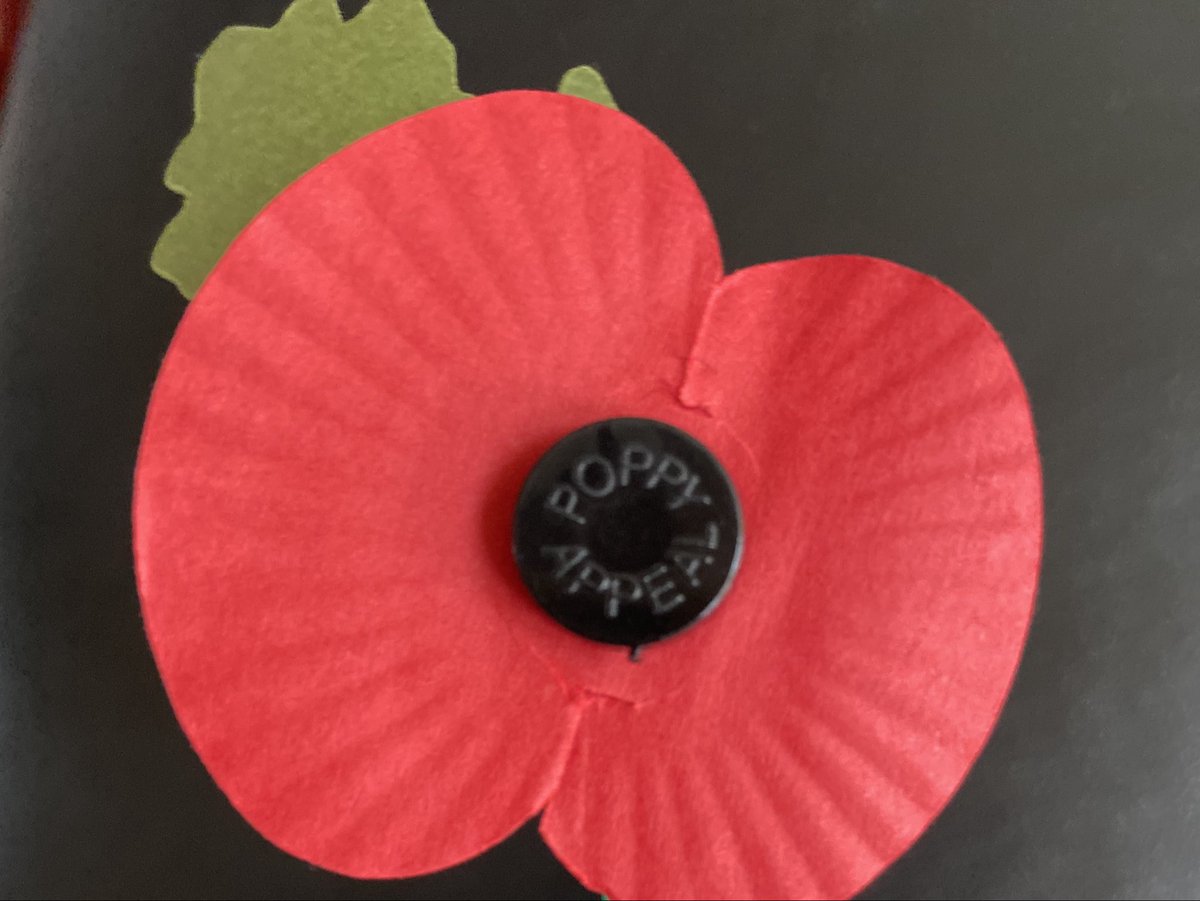 Every #RemembranceDay since 2011 after creating my blog, I’ve posted a link about my grandad who was  left with life changing injuries after the first battle of the Somme. 

Gratitude and duty aren’t very fashionable human qualities anymore, but without those who possess these