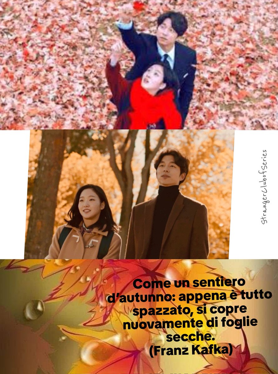 Strangerclubof1's tweet photo. "Come un sentiero d’autunno: appena è tutto spazzato, si copre nuovamente di foglie secche".
(Franz Kafka)

Buona domenica di novembre 🍁🍂🥰 
~Grazia&amp;Laura
#sundaymood #mood #sunday #Autumn #AutumnVibes #november #goblin #kdrama #kafka #colorsofautumn https://t.co/WLhCUwmneX