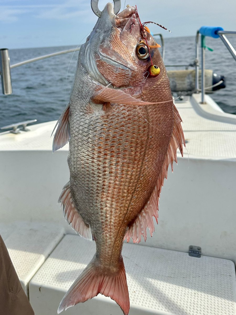 tsuritengu's tweet image. 宮城塩竈家族釣行チャレンジ！
タイラバでのんびり楽しめました♪

結局ジャッカルのビンビン玉のかスイッチが強い！