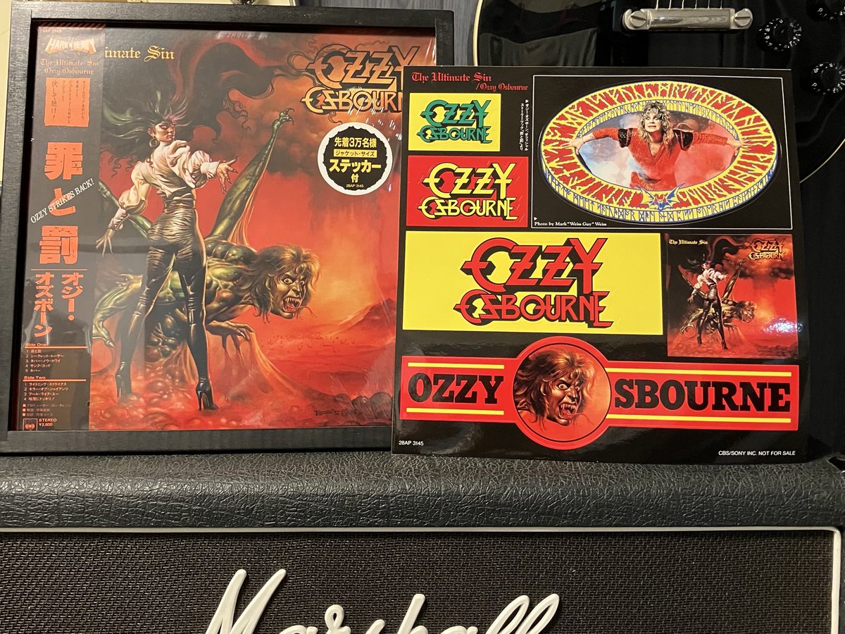 The Bat-Eared Fox on X