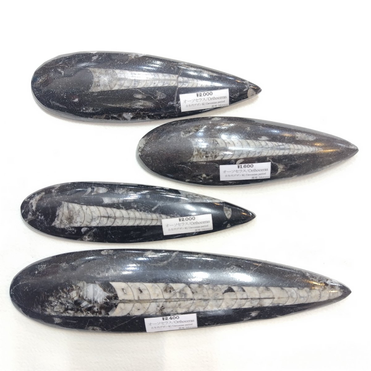 クリスタルワールド立川店 on X