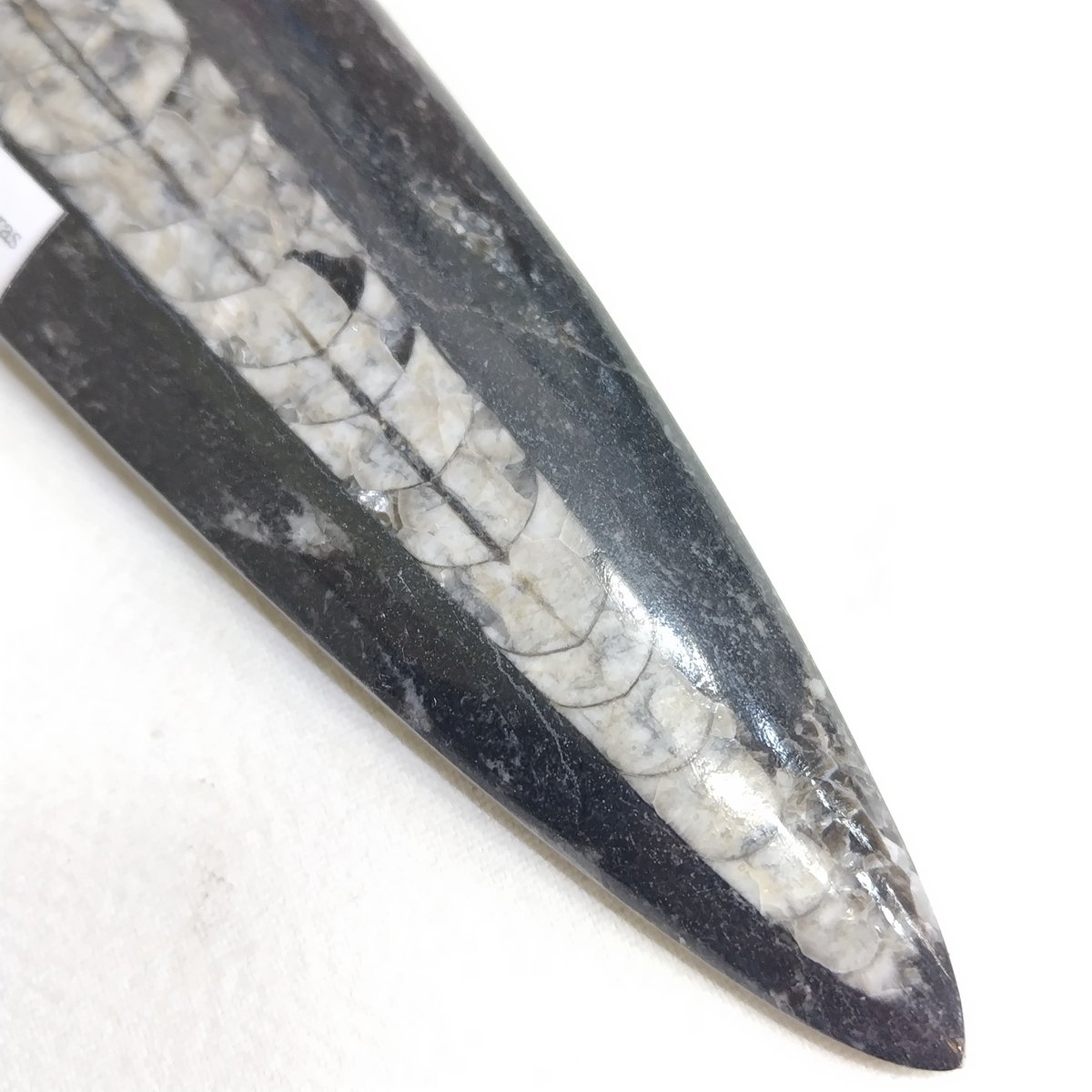 クリスタルワールド立川店 on X