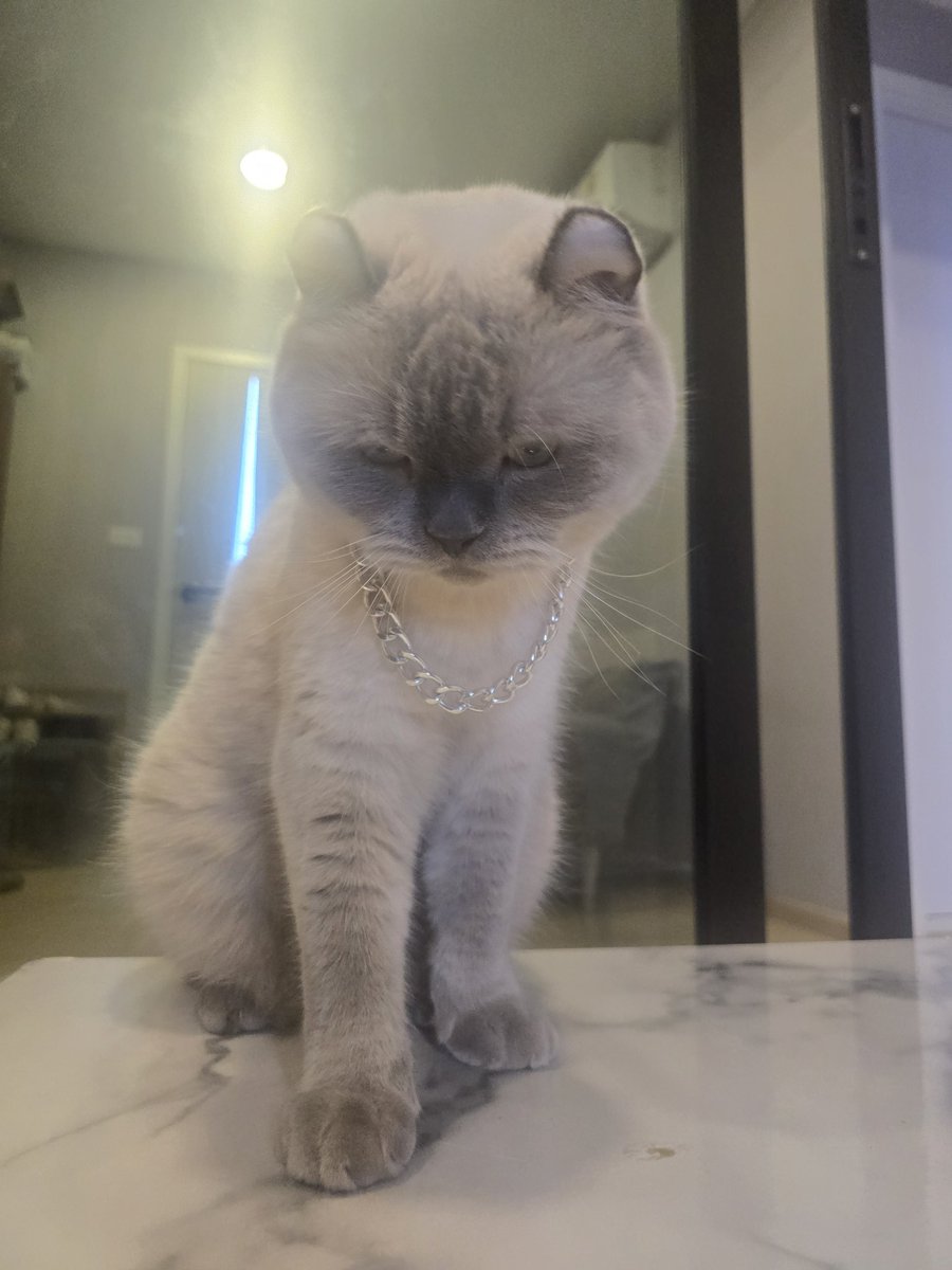 วันหยุดไม่ทำไร วอแวคุณโจวอยู่อย่าง ถ้าพูดได้คงบอกมะม๊าออกไปจากห้องสักทีเถอะขอร้อง