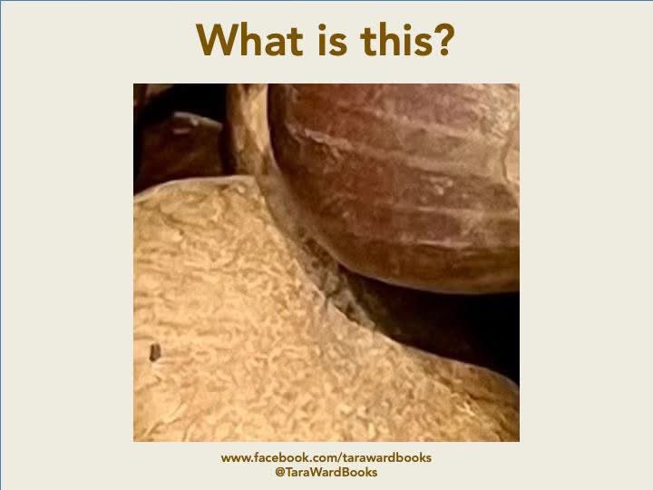 TaraWardBooks's tweet image. Your #SundayQuiz! Have a go! #WhatIsThis #SundayFunday #PhotoQuiz #PictureChallenge ...