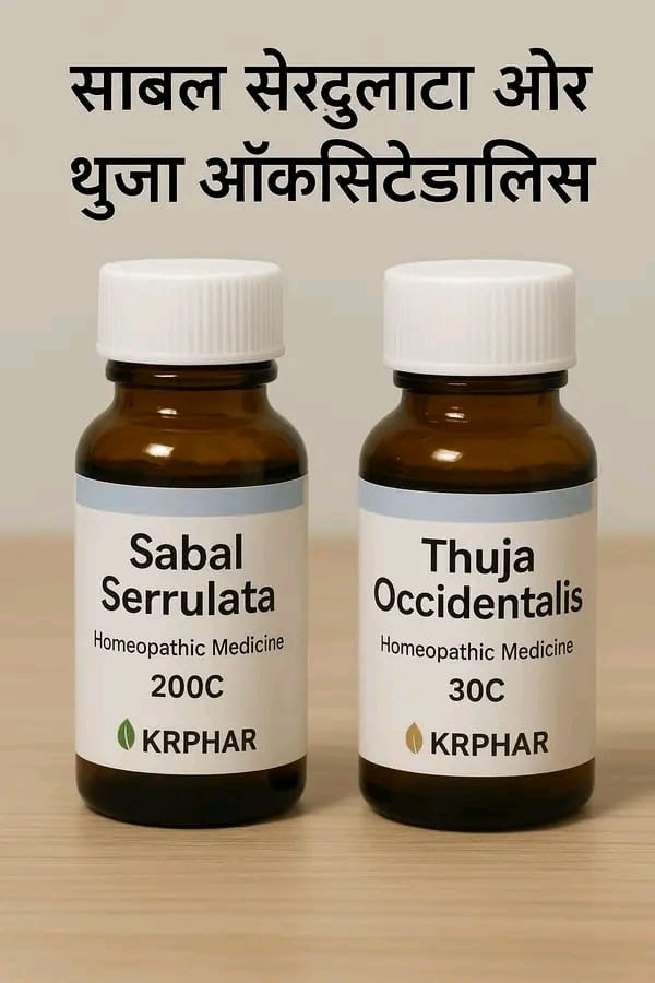 ये दोनो होम्योपैथिक दवाएं जरूर होनी चाहिए  – प्रोस्टेट और पुरुष स्वास्थ्य के रक्षक 

 1. Sabal Serrulata – पुरुष ग्रंथि का प्राकृतिक कवच

 क्या है यह?
Sabal Serrulata को Saw Palmetto भी कहा जाता है। यह एक छोटा पौधा है जिसकी बेरी से होम्योपैथिक दवा बनाई जाती है, विशेष रूप से