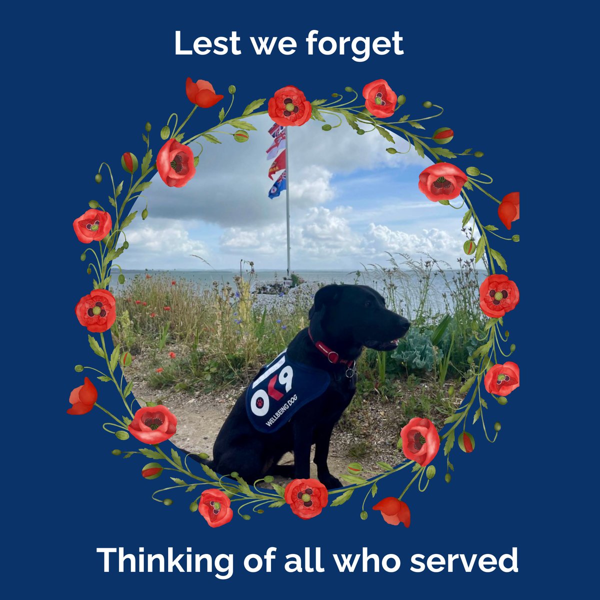 Today we remember the fallen, those who gave everything for our freedom. 

We honour all who served, two-legged and four, and we will never forget them and the sacrifices they made.