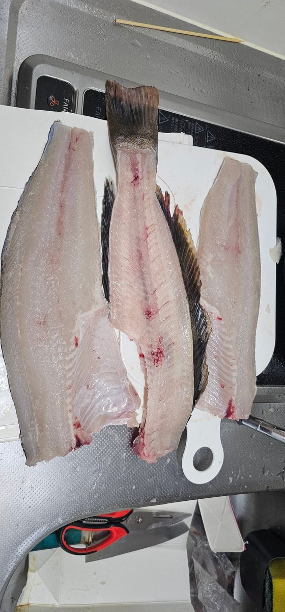 イナミ（INA3） tweet media