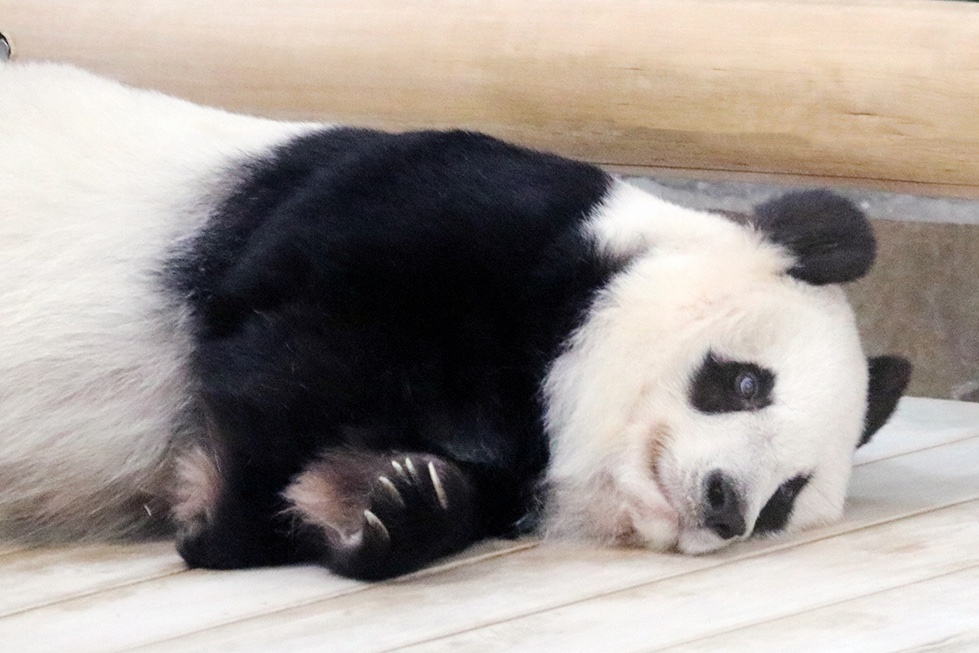 ゆかたん (@yu_ka7493) / Posts / X