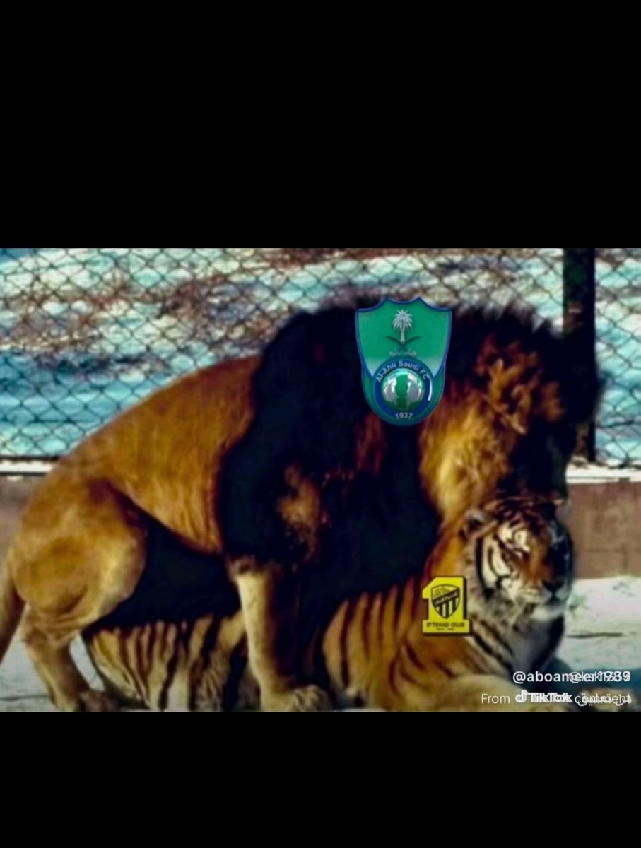 a1trappyyy's tweet photo. Jeddah always green my friend 💚💚💚 https://t.co/7jFwN09G0K