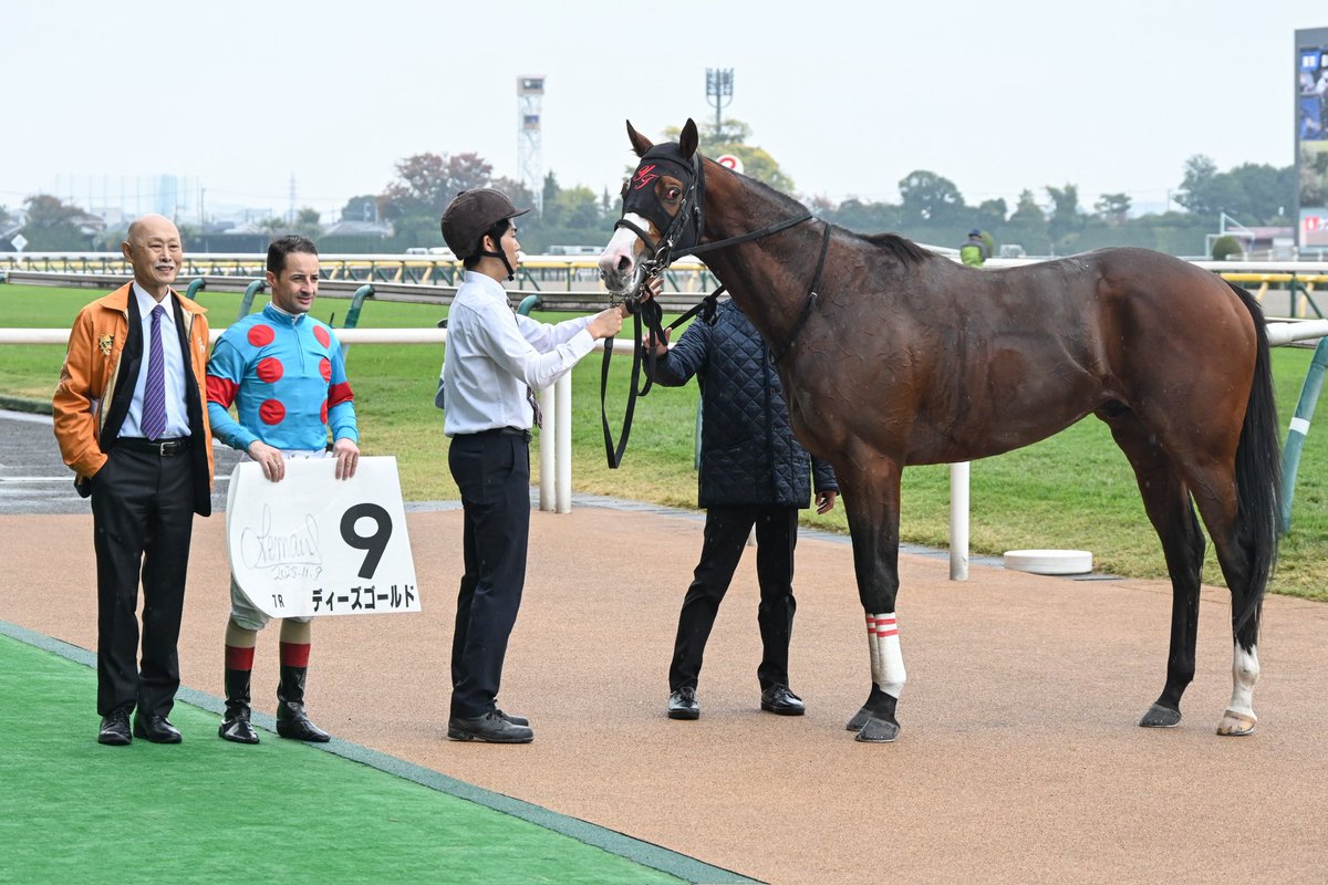 シルク・ホースクラブ（公式） (@SILKHCofficial) / Posts / X