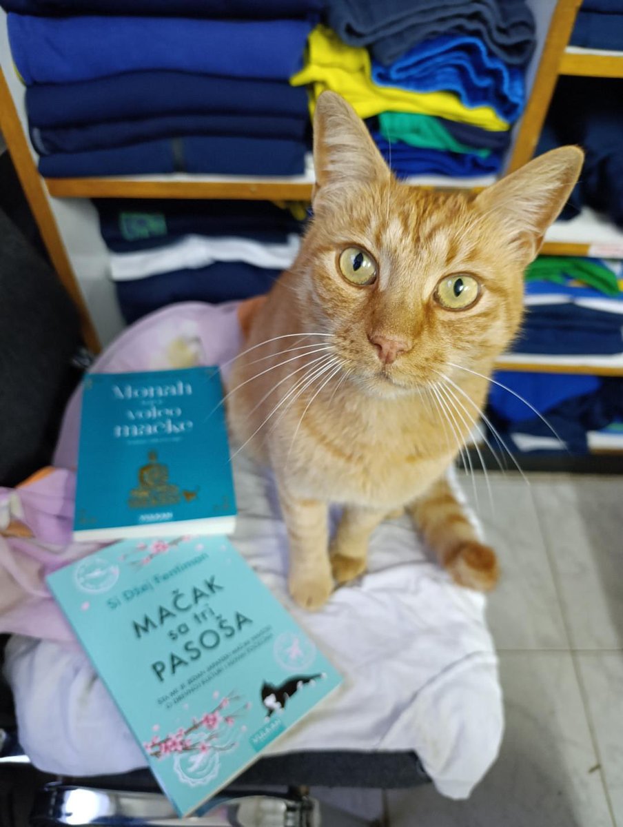 Rocky the cat… aka Milence 🇷🇸🐈‍⬛✨This little Balkan prince has an announcement:
“Mačka sa tri pasoša” — the Serbian translation of The Cat with Three Passports — is here! 🥹📚✈️ Thanks <a href="/nevenakv/">Nevena Obradoovic</a> 
#RockyTheCat #Milence #MačkaSaTriPasoša #TheCatWithThreePassports #SrpskoIzdanje