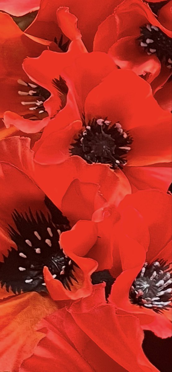 When you go home, tell them of us and say, for your tomorrow these gave their today.