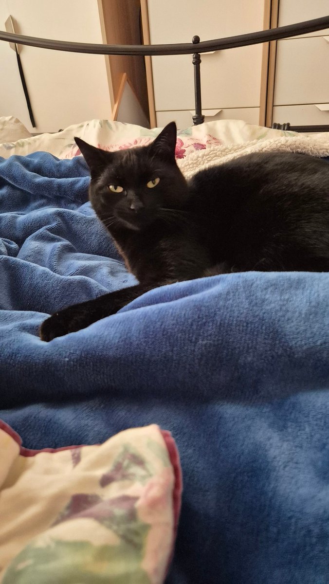 Fin, Misty and Angels H, B, L and T🌈 tweet media