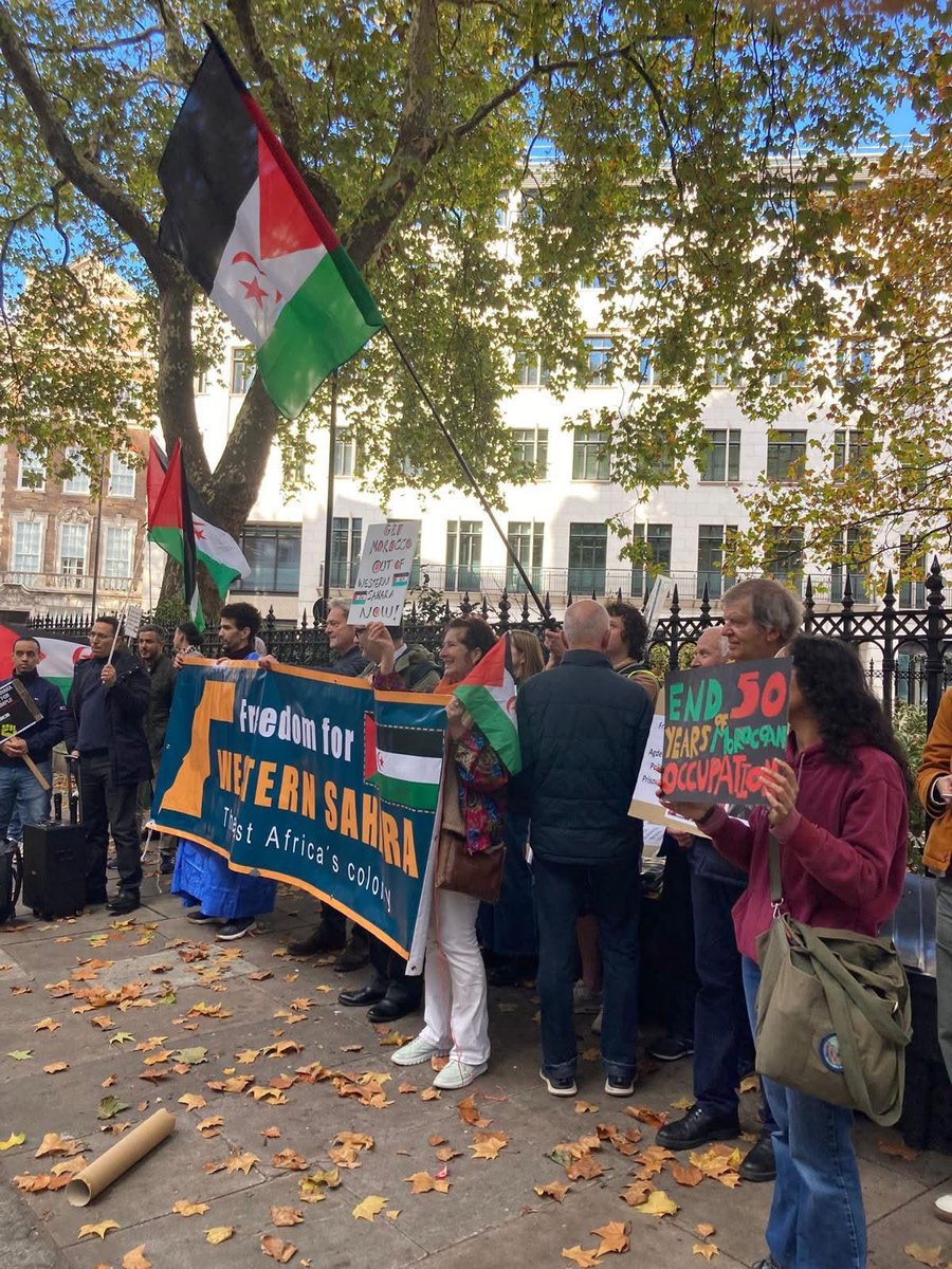 بوابة الجزائر - Algeria Gate tweet media