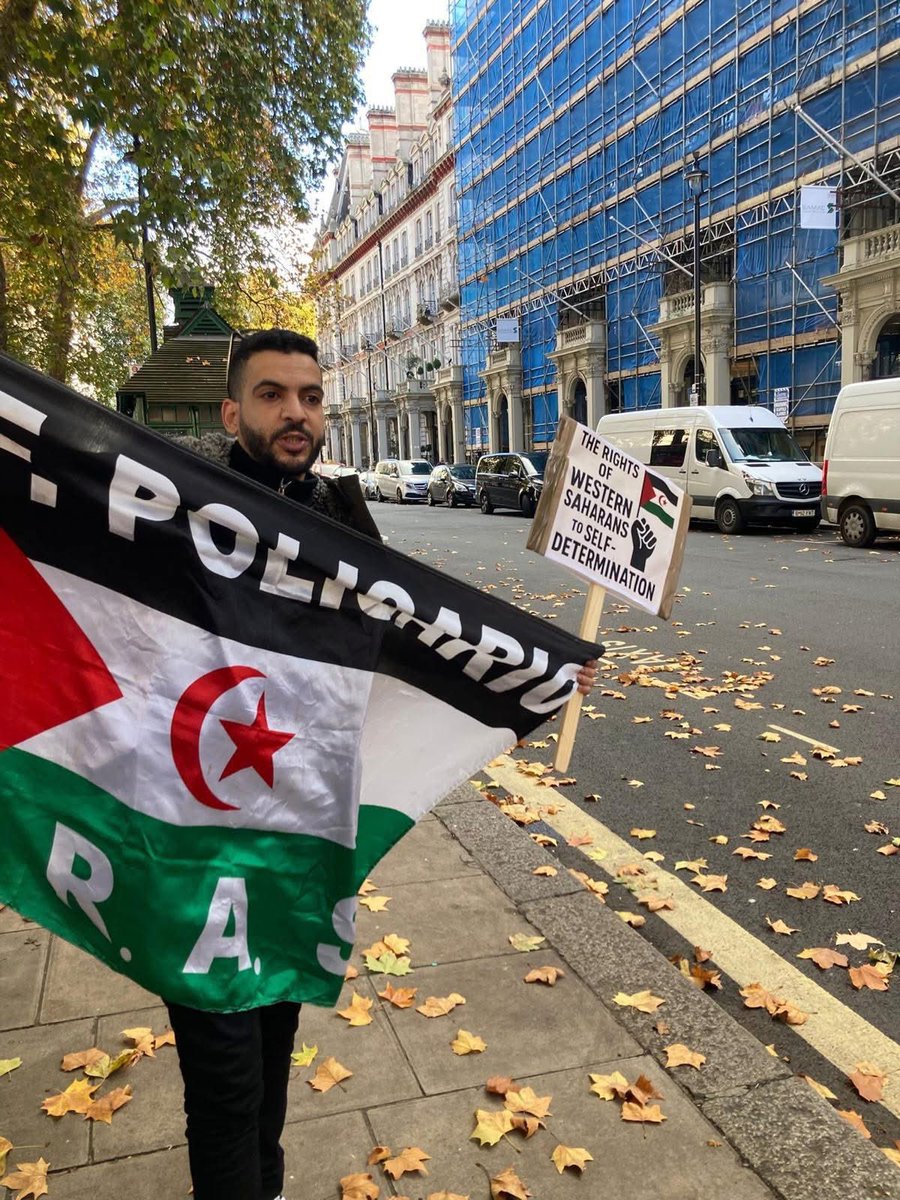 بوابة الجزائر - Algeria Gate tweet media