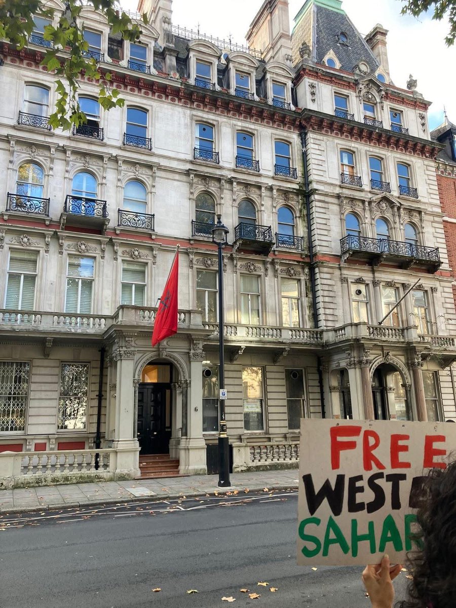 بوابة الجزائر - Algeria Gate tweet media