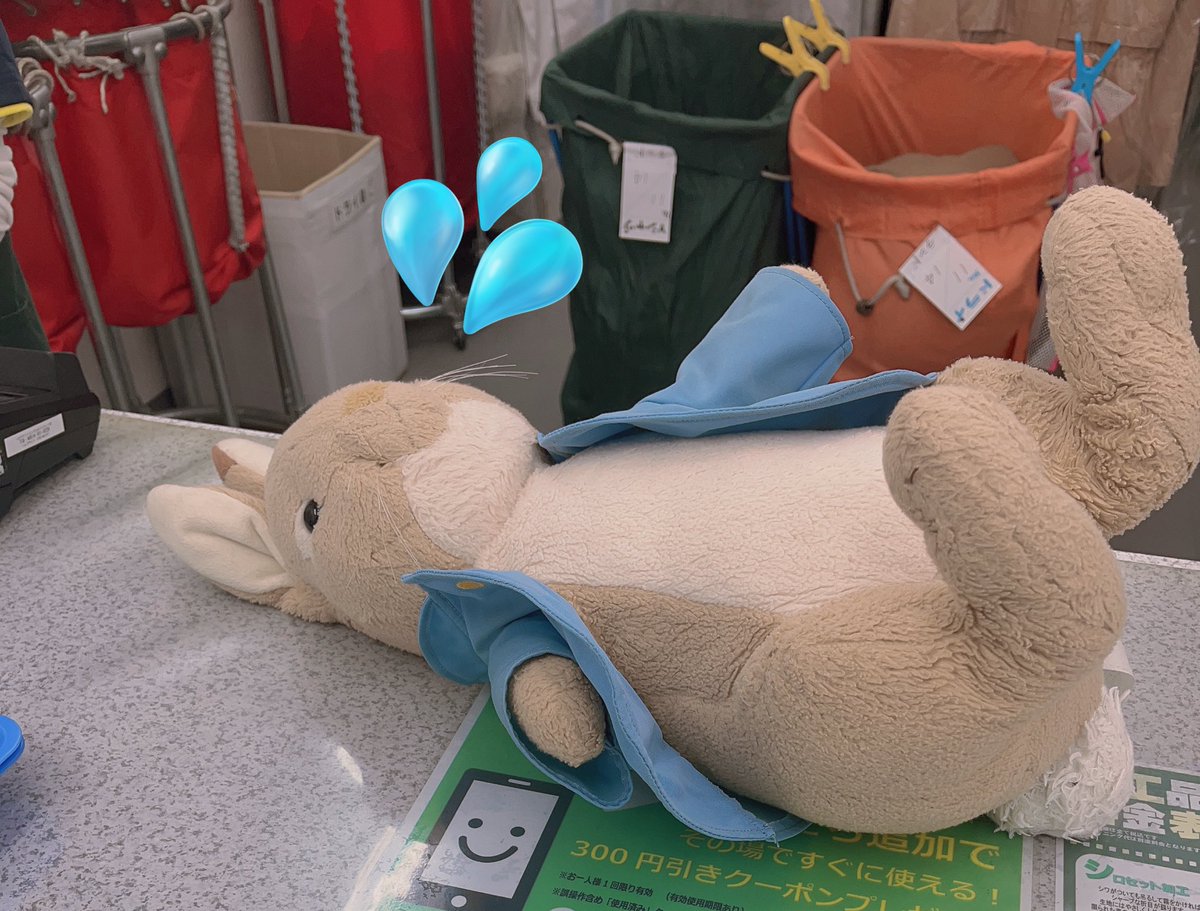 うちゃ（公式） (@ucha__official) / Posts / X