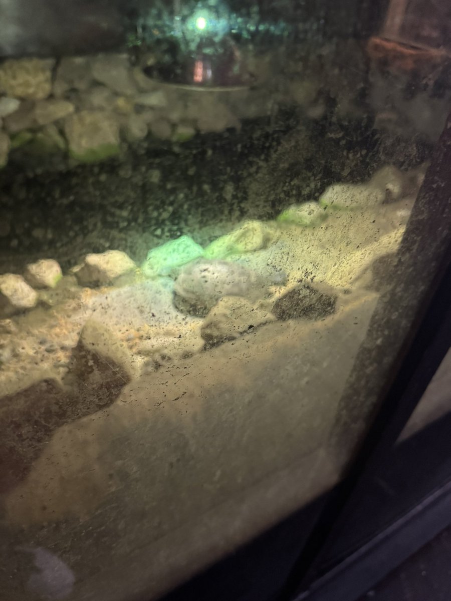 Jonathan 🐣 tweet media