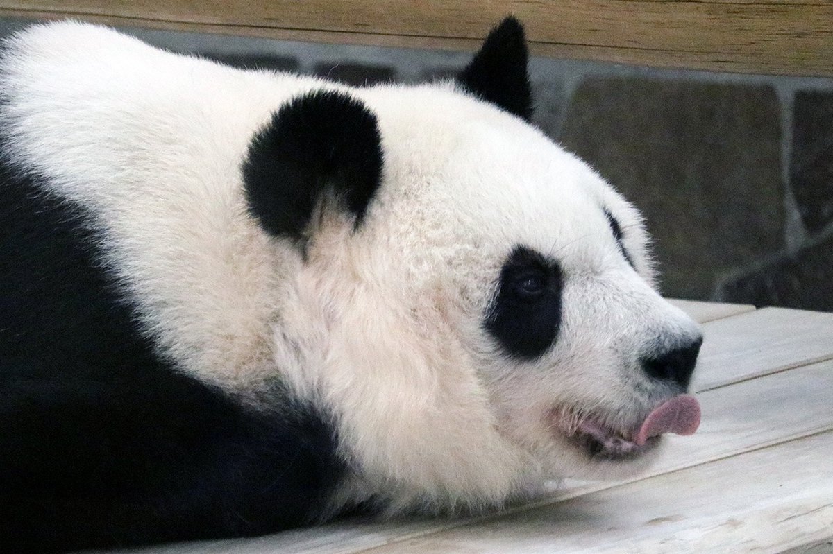 ゆかたん (@yu_ka7493) / Posts / X