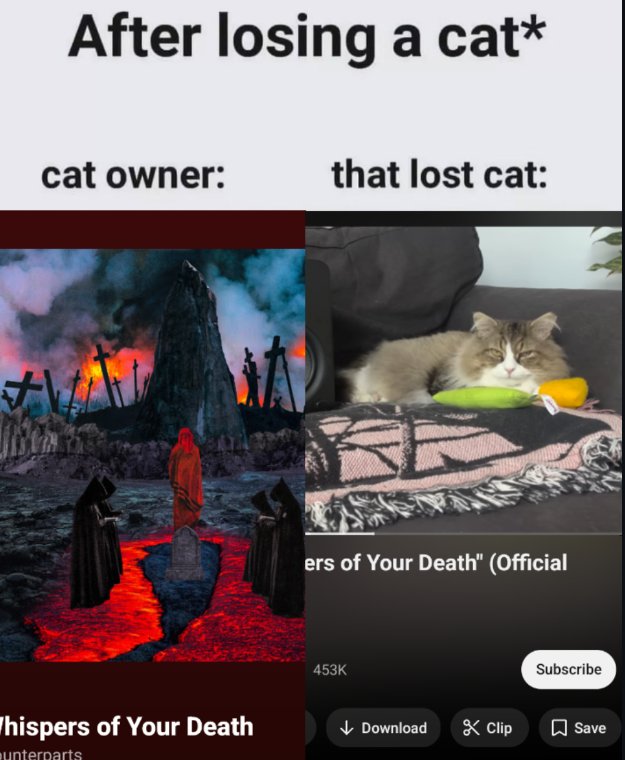 John the title track guy 🍋 (@johnthepenguin) on Twitter photo 