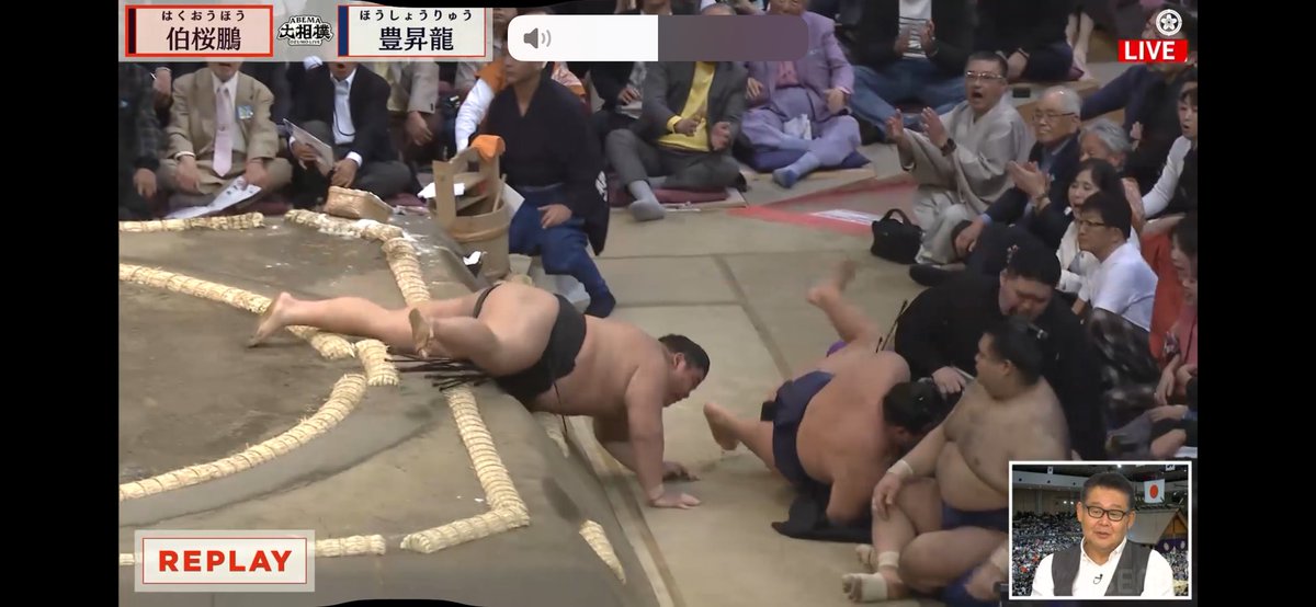 伯桜鵬金星！😆