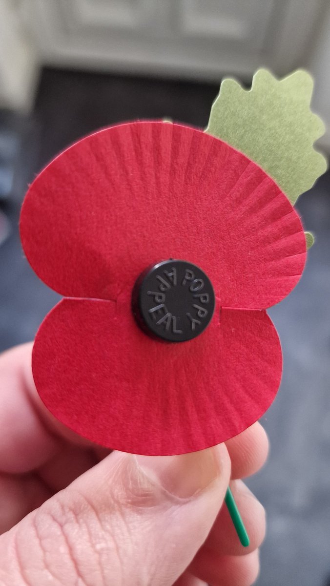 Remembrance Sunday. 

A special day. A momentous day.