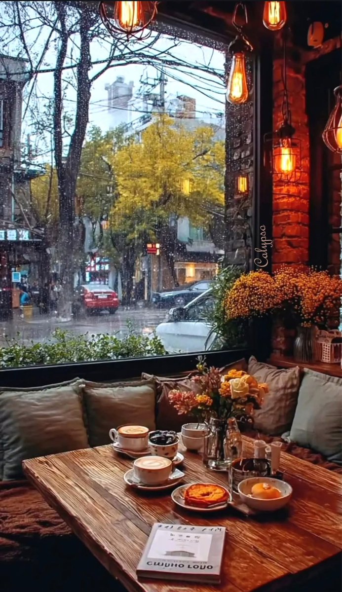 DvFati's tweet image. 🌳🏵️☕🍃🍂

Coffee ☕ &amp;amp;  Rain 🌧 

#coffeetime      #moodchallenge