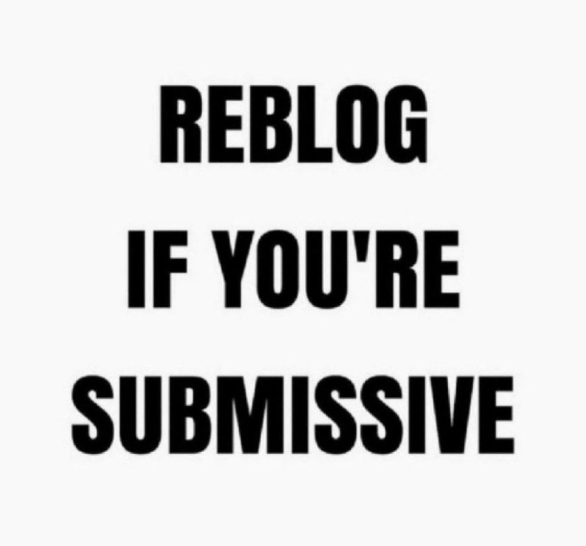Reblog boi