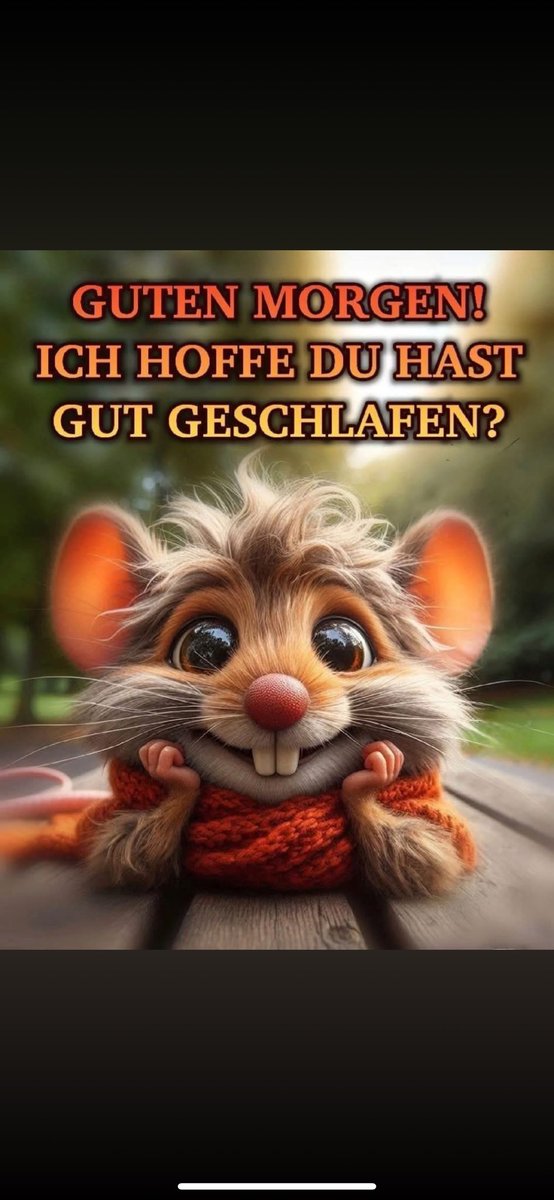 Guten Morgen ihr Lieben 🥰 ich wünsche euch allen einen wunderschönen Sonntag 😘🐰