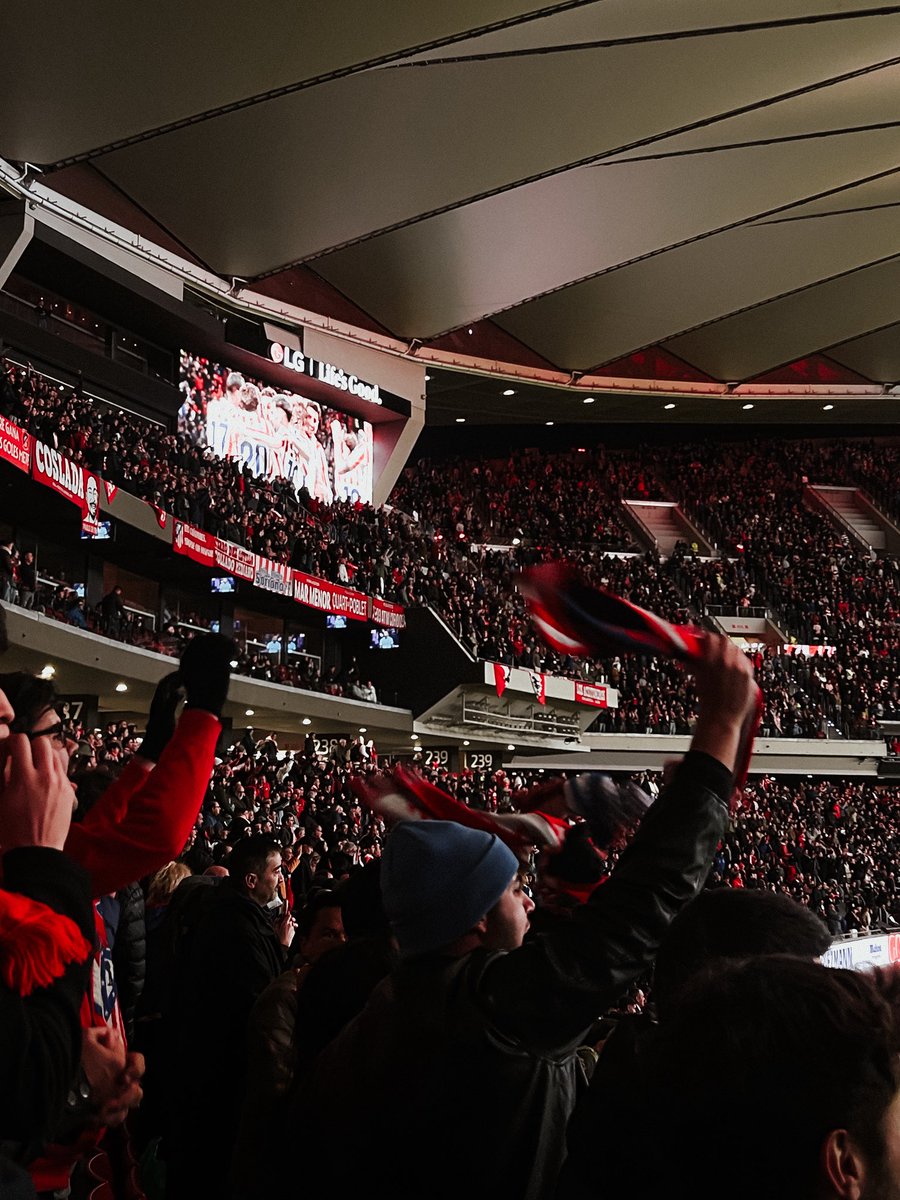 𝑺𝑬𝑳𝑨 tweet media