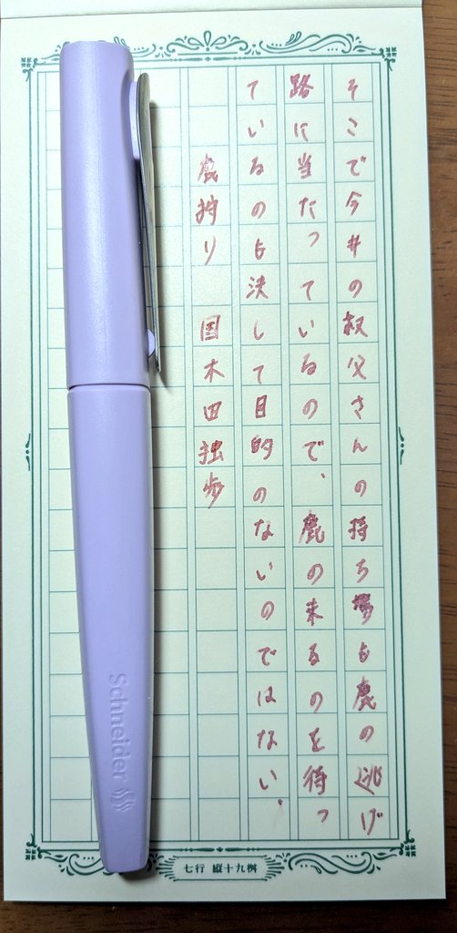 万年筆　Schneider　TOMO
インク　多山文具　カラートラベラー　和三盆おいりパステルピンク
#朝活書写_2221