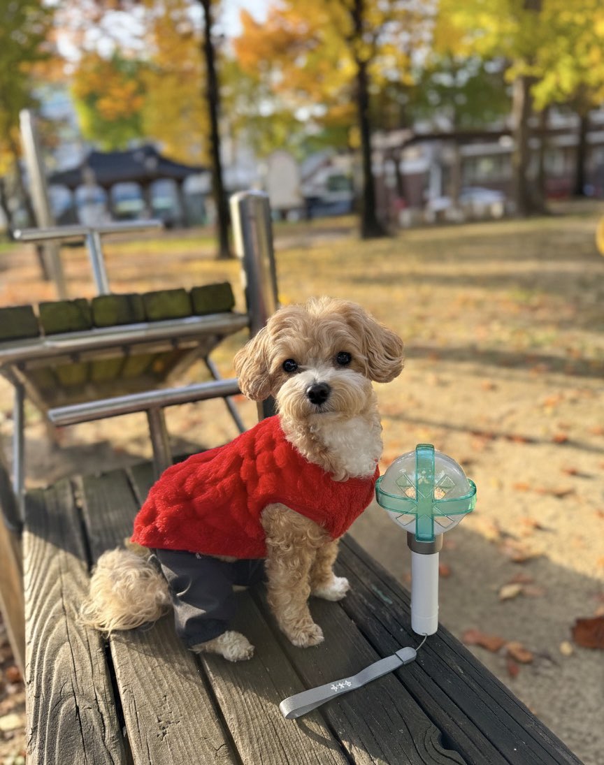 🦊💬 talk to you peanut