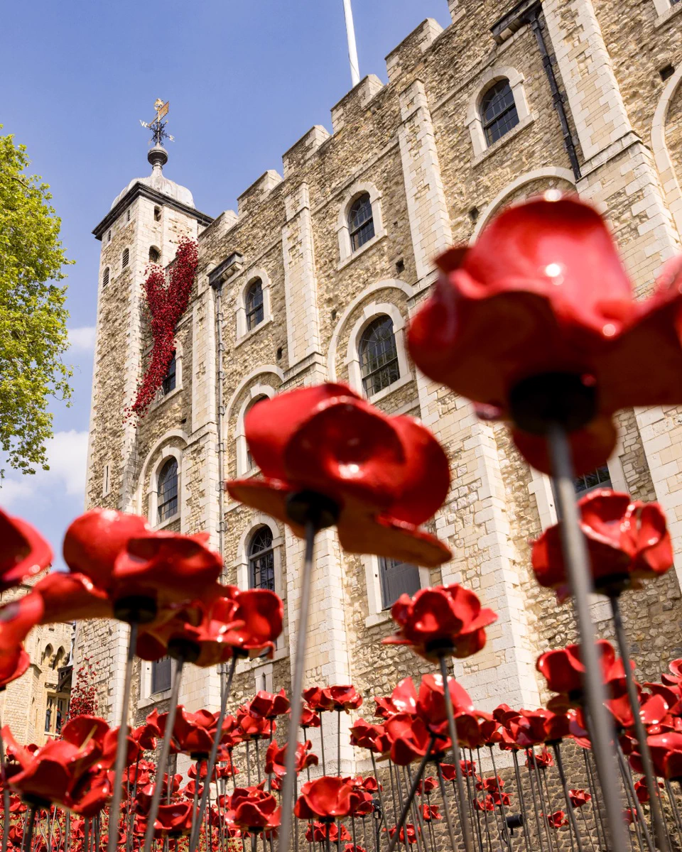 Red ceramic poppies installed around the Tower of London, in the foreground ceramic poppies are on the floor and in the background they are seen falling from the White Tower.
