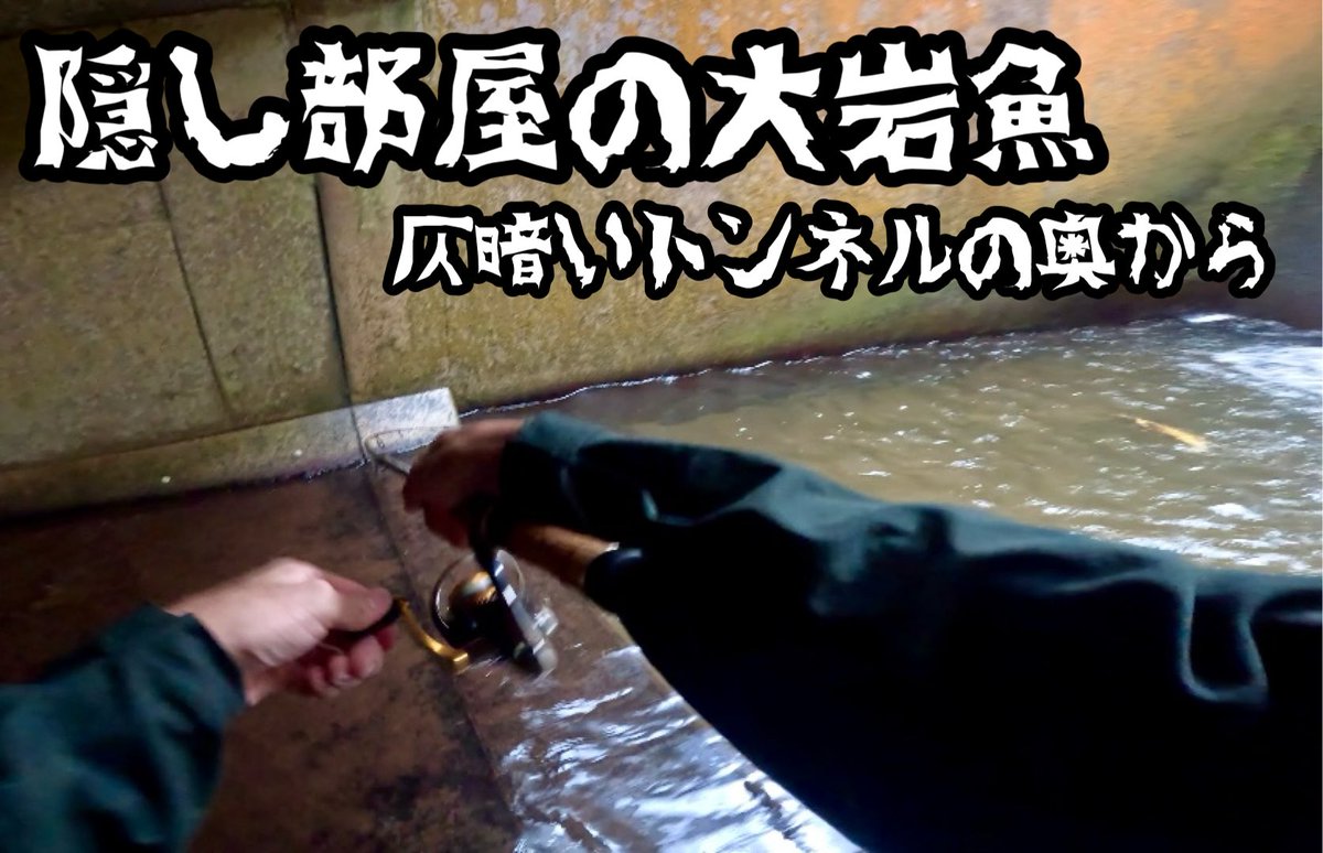 celsuper2's tweet image. 9月の秋田遠征の動画公開しました！

仄暗いトンネルの奥に佇む、謎の堰堤に住まう大岩魚 youtu.be/fiyhreHLT1I?si… @YouTube