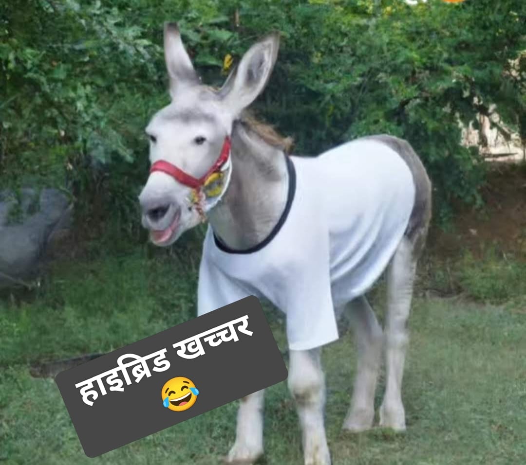 <a href="/SupriyaShrinate/">Supriya Shrinate</a> जो खुद  90 चुनाव हार चुका है वो ज्ञान पेल रहा है