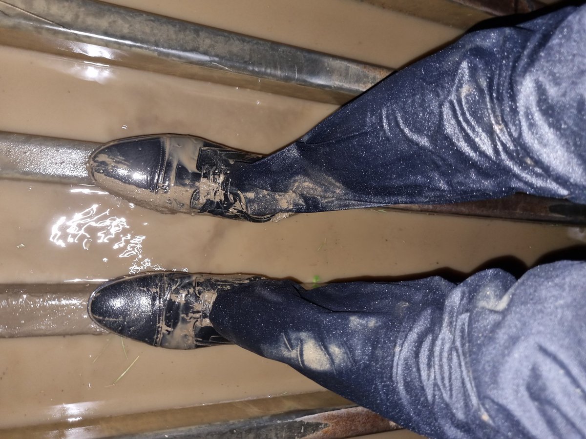 UkSuited744's tweet photo. Went for a midnight walk and I think the intrusive thoughts might have won. Who's joining me next time? 😉 https://t.co/Htva3cD7GC