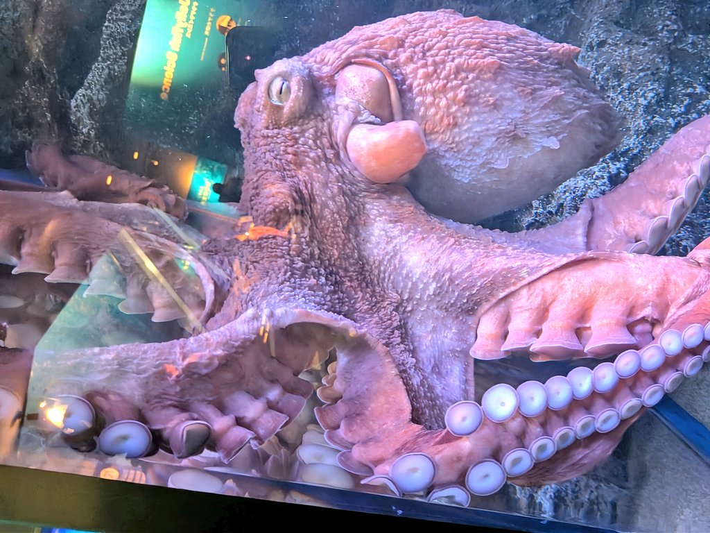 フリードリヒ🌽 on X