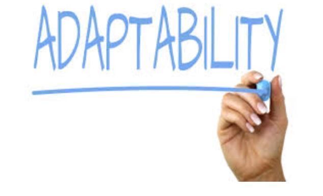Adaptability is key in today's fast-paced world. Being able to adjust to new situations and challenges is crucial for success. Stay open-minded and flexible to embrace change. #Adaptability #Flexibility

Read more here kentbusinessradio.co.uk/resilience/
